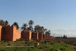 Image du Maroc Professionnelle de  Hormis les remparts de Marrakech qui sont construits entièrement en pisé selon une technique séculaire par l'Almoravide Ali Ben Youssef au début de XIIème siècle pour se protéger des attaques extérieures. La ville rouge dispose d’autres murailles qui protègent les parcs comme celle-ci qui clôturent les jardins de l'Agdal Ba Ahmed. Au fond la chaine de montagne du Haut Atlas enneigé surplombe la plaine du Haouz où de nombreux palmiers des jardins apportent à ce paysage un contraste très accentué, 3 Décembre 2012. (Photo / Abdeljalil Bounhar) 